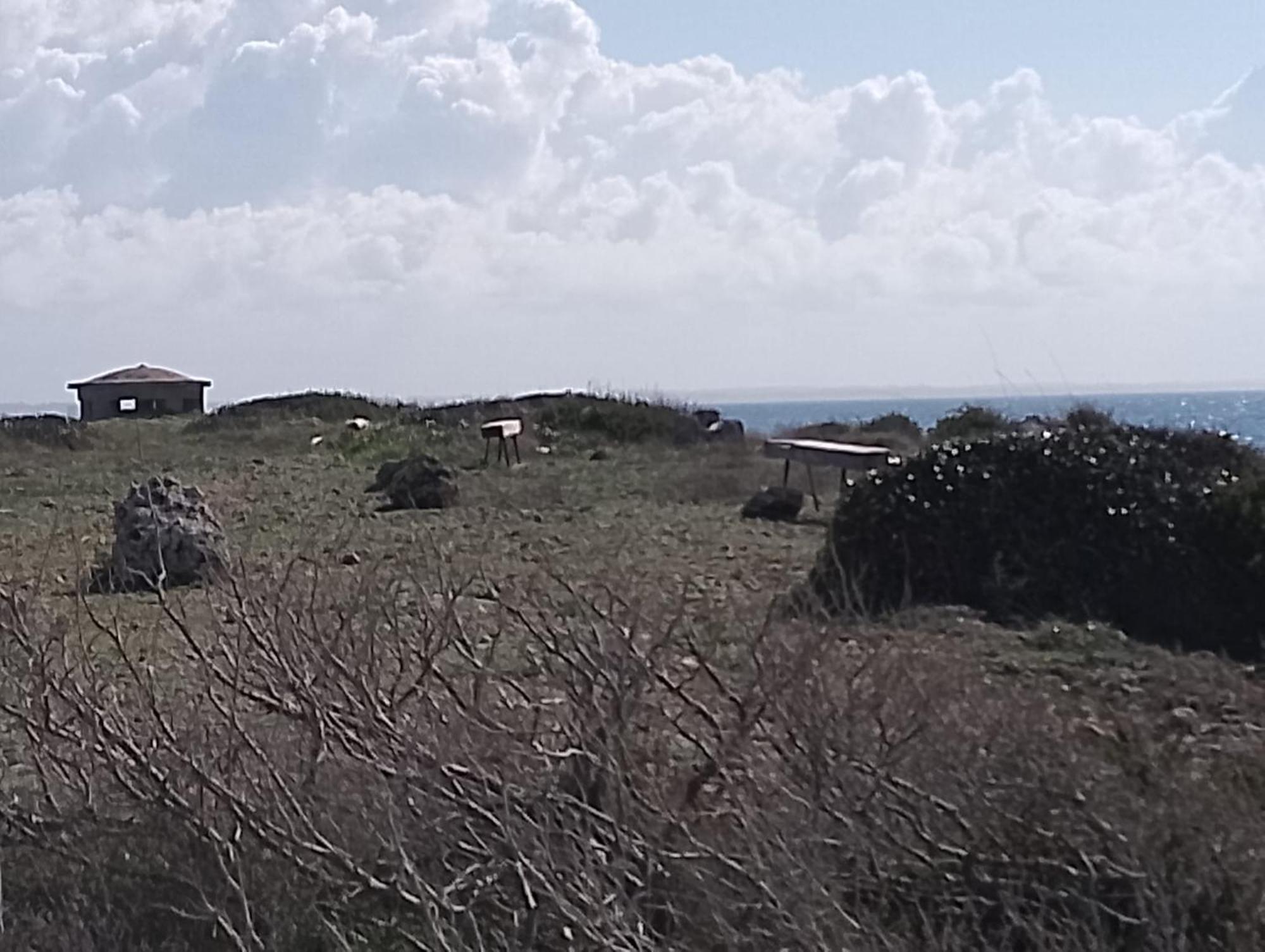 Punta Grossa Apartments By My Home Apulia 托雷拉皮罗 外观 照片