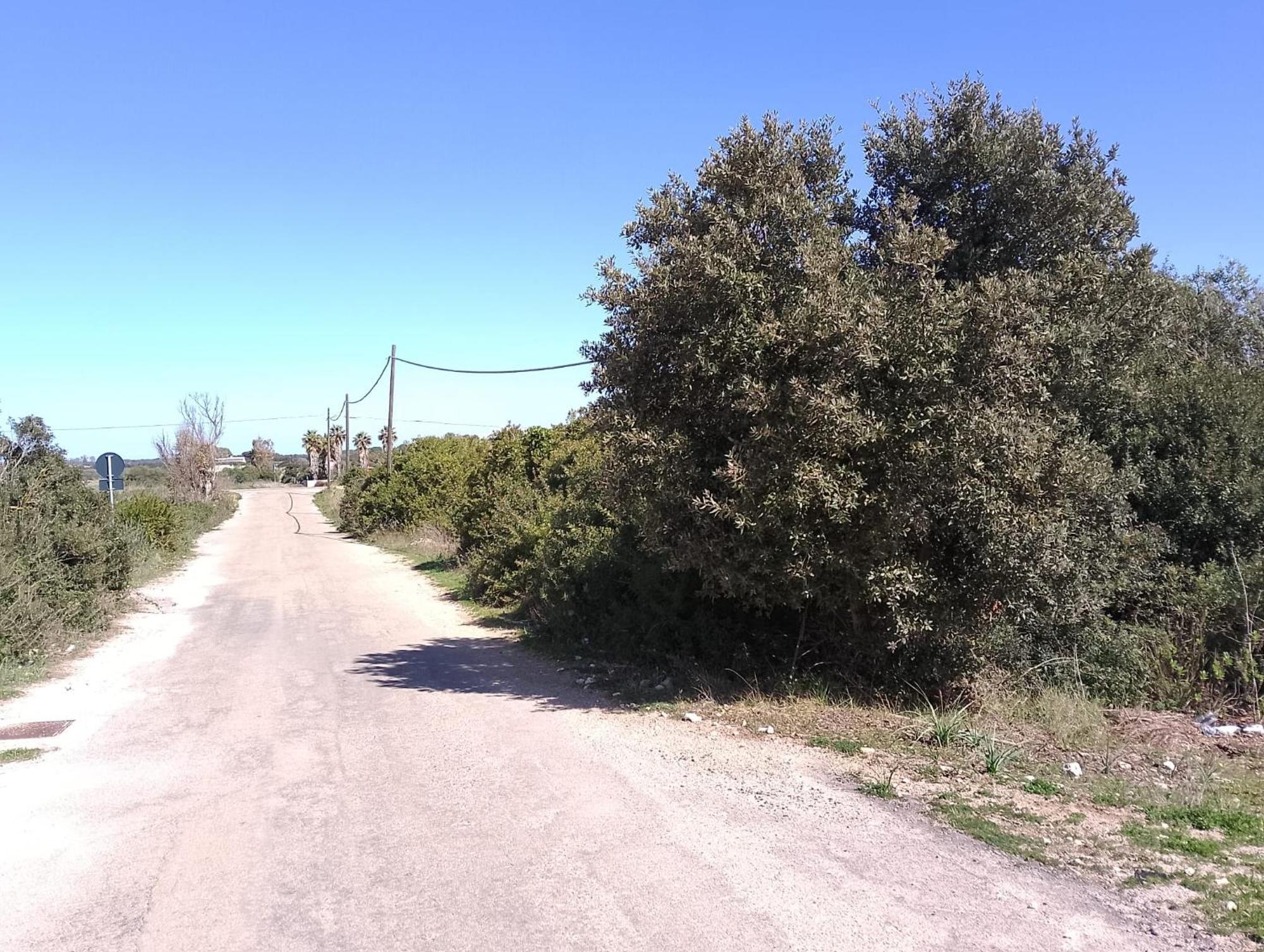 Punta Grossa Apartments By My Home Apulia 托雷拉皮罗 外观 照片