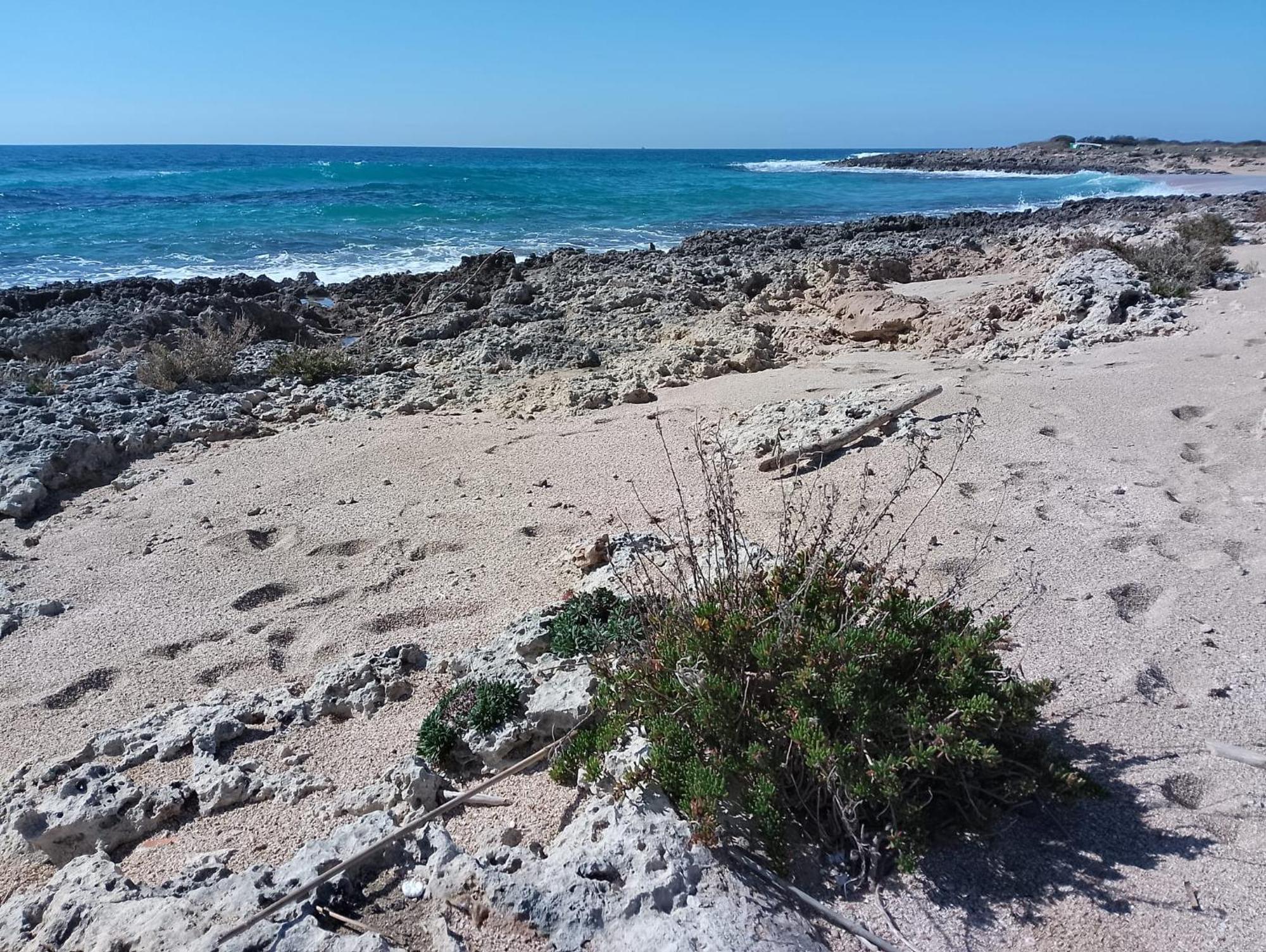 Punta Grossa Apartments By My Home Apulia 托雷拉皮罗 外观 照片